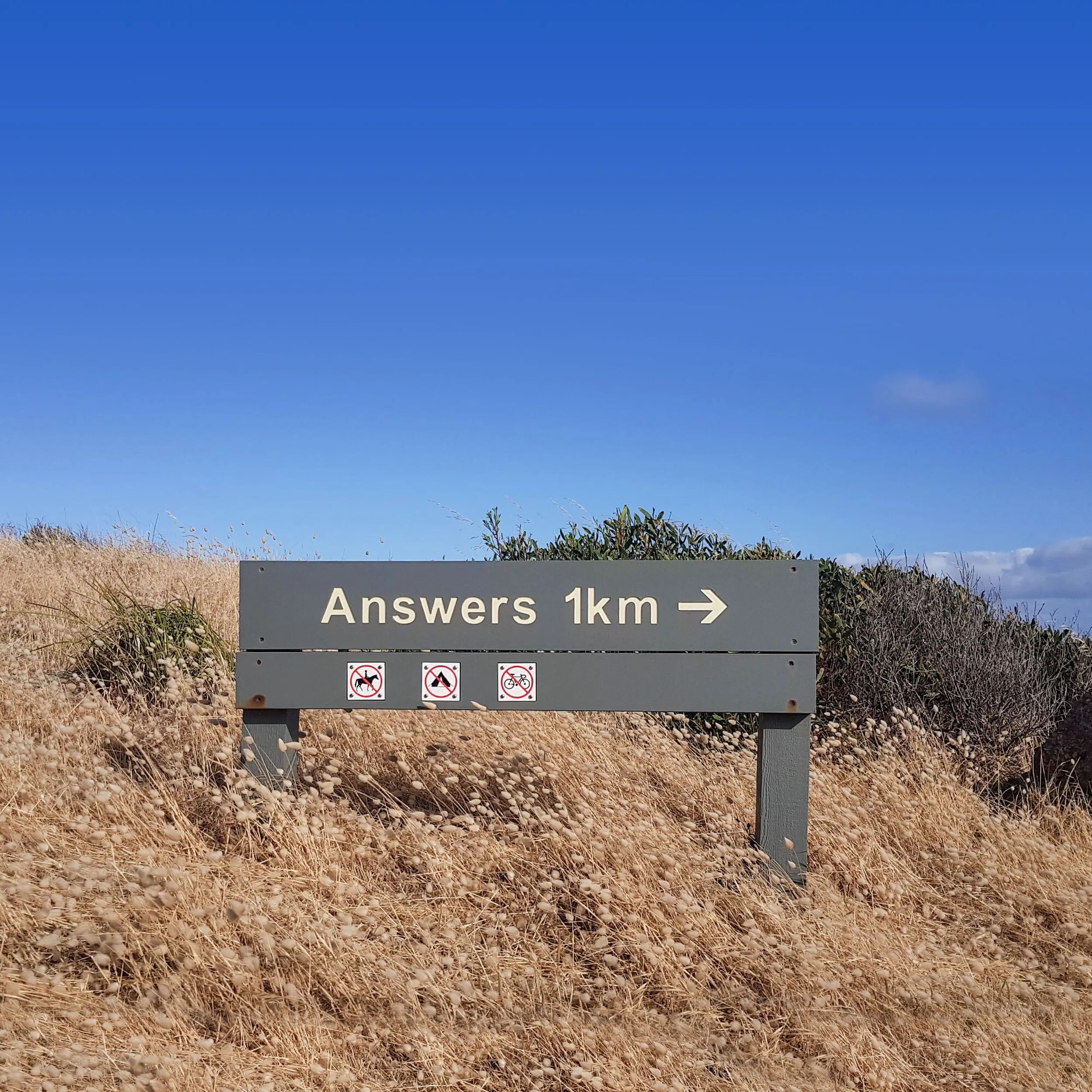 Hadija saidi j Cf Dz OQ2 C8 unsplash 2000px