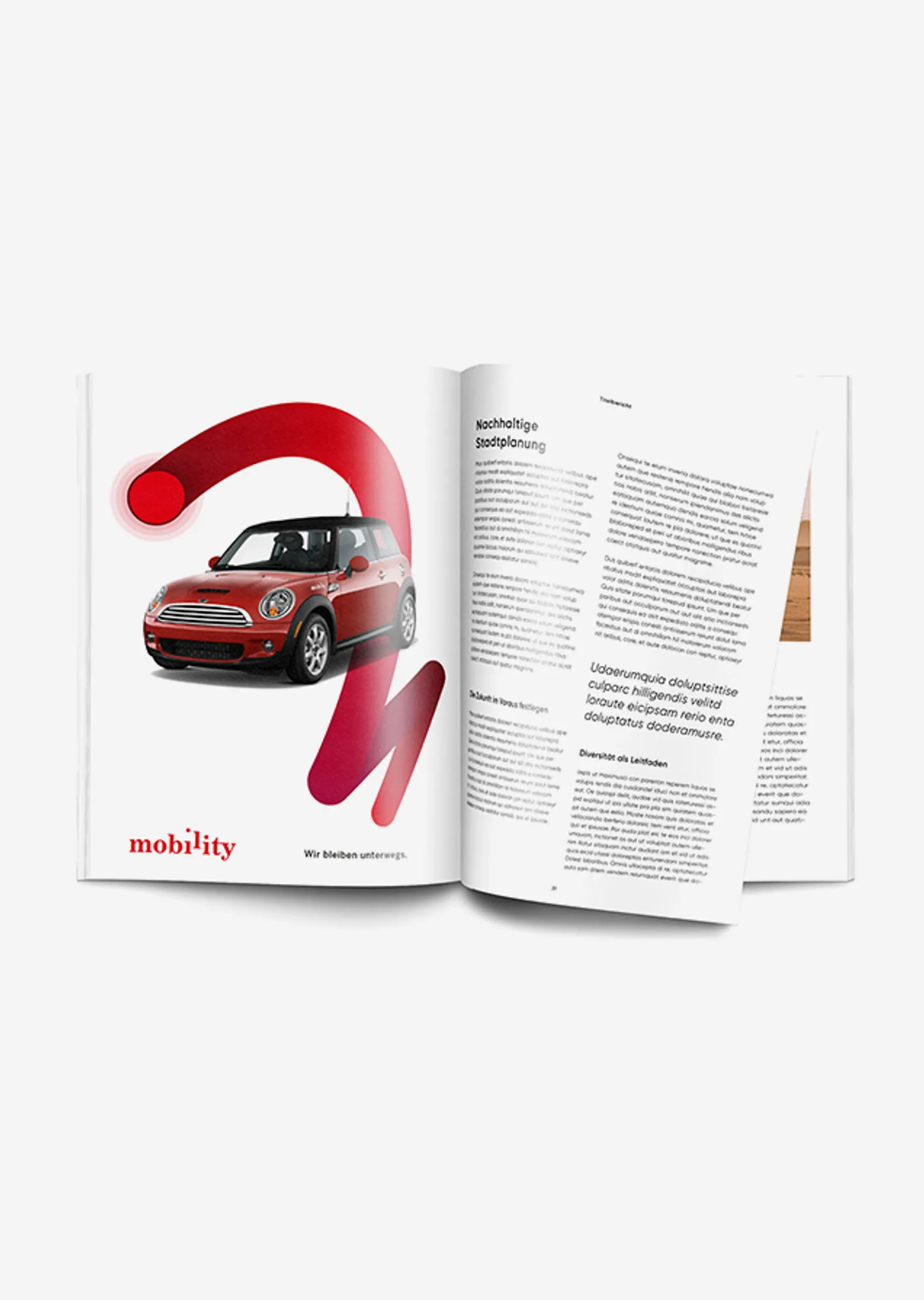 Mobility 2 grey