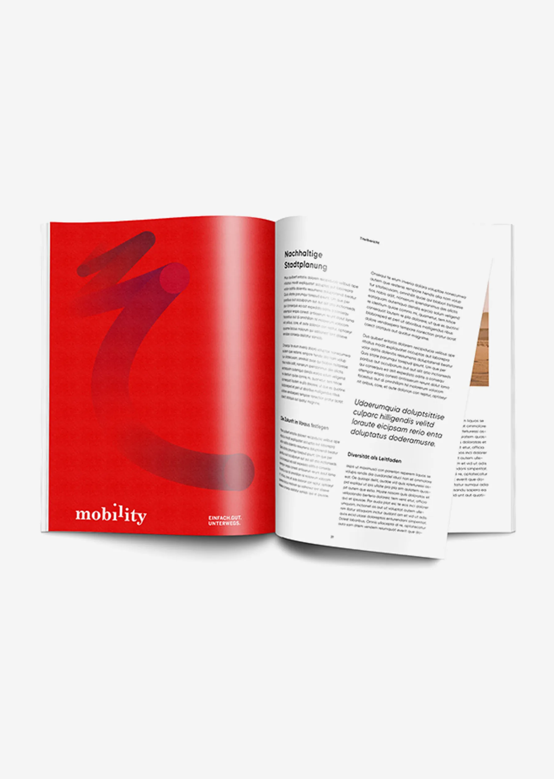 Mobility 8 grey